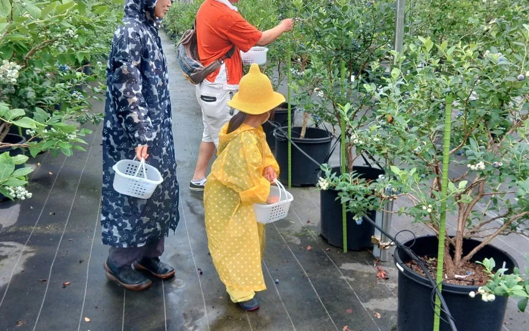 雨避けが大活躍の話